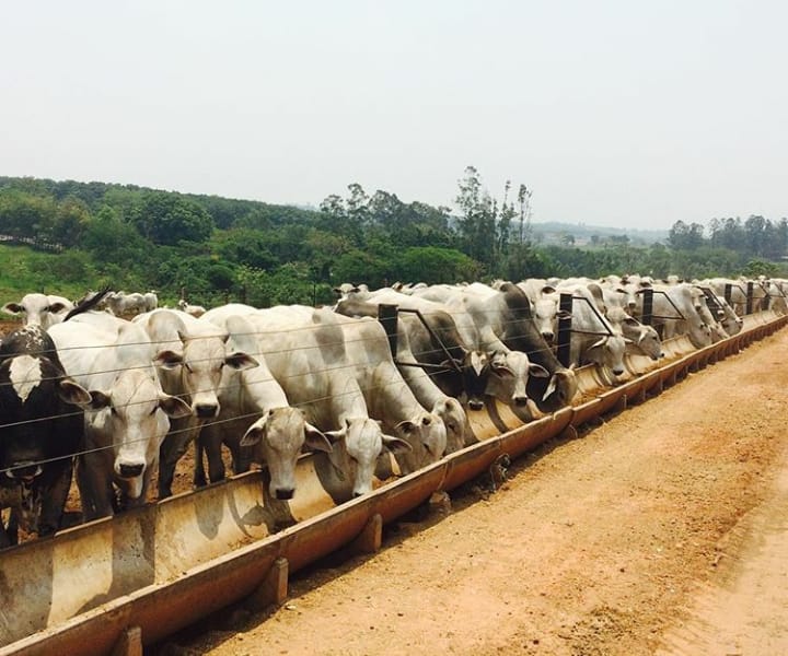 WhatsApp Image 2020-02-13 at 8.55.12 AM(1).jpeg